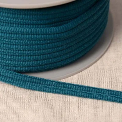 Cordon double passepoil Bleu canard x1m
