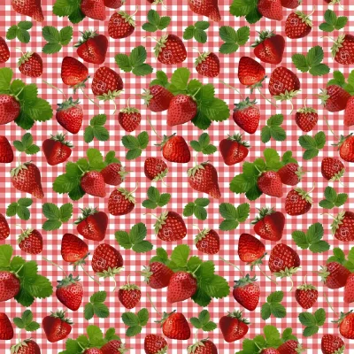 Tissu Coton imprimé Vichy rouge et fraises sur fond Blanc - Par 10 cm