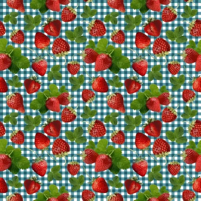 Tissu Coton imprimé Vichy canard et fraises sur fond Blanc - Par 10 cm
